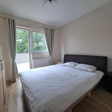 Drina's Heart バイナ・バシュタ