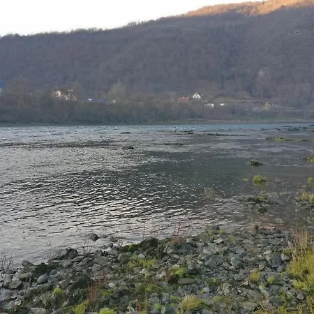 Nyaraló Drina's Heart